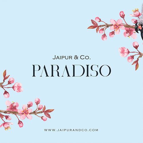paradisocollection