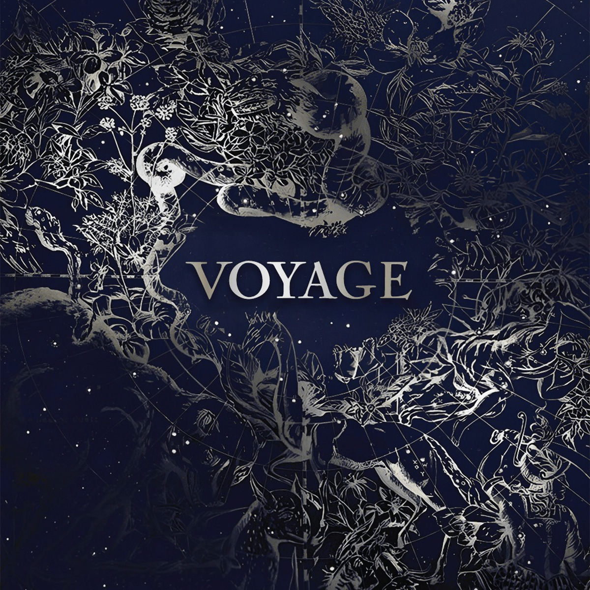 Voyage